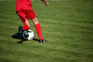 爱游戏app下载-俱乐部引入智能出场管理系统 提高训练组织效率，俱乐部场地